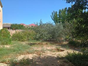 Бакы, участок земли , продажа , 20 сот , Сабунчу рајону