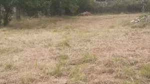 Оғуз, участок земли , продажа , 12 сот 