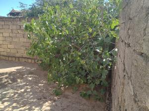 Бакы, участок земли , продажа , 20 сот , Сабунчу рајону