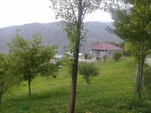 Исмајыллы, участок земли , продажа , 12 сот 