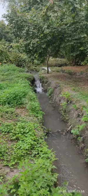 Оғуз, участок земли , продажа , 100 сот 