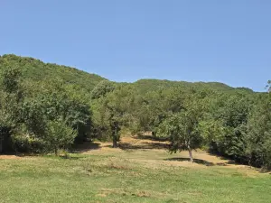 Шамахы, участок земли , продажа , 42.1 сот 