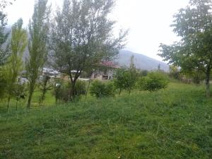 Исмајыллы, участок земли , продажа , 12 сот 