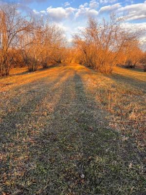 Гәбәлә, участок земли , продажа , 30 сот 