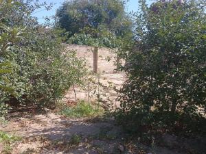 Бакы, участок земли , продажа , 20 сот , Сабунчу рајону