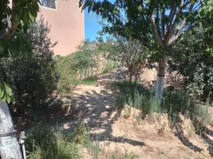 Бакы, участок земли , продажа , 20 сот , Сабунчу рајону