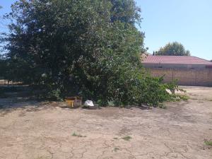 Бакы, участок земли , продажа , 20 сот , Сабунчу рајону