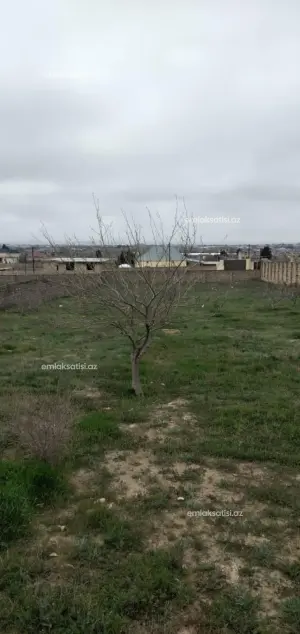 Бакы, участок земли , продажа , 24 сот , Сабунчу рајону, Нардаран гәс.
