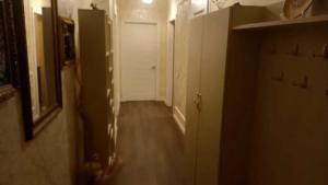 Бакы, новостройка 2 комната, продажа, 58 м²  , Јасамал рајону, Јасамал гәс.