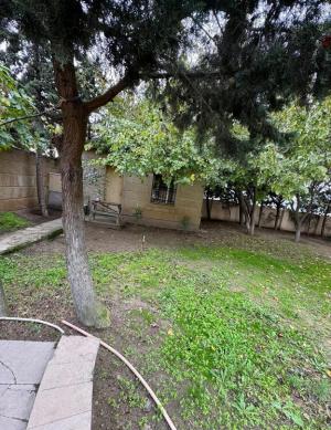 Бакы, садовый домик 5 комната, продажа, 480 м² , 16 сот , Сәбаил рајону, Бадамдар гәс.