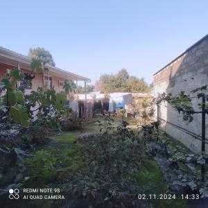 Бакы, садовый домик 4 комната, продажа, 131 м² , 4 сот , Низами рајону, 8-ҹи километр