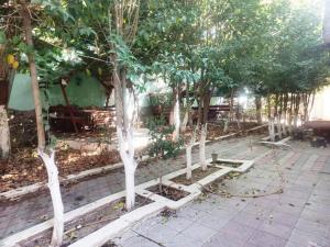 Бакы, объект , продажа, 400 м² , 3 сот , Бинәгәди рајону, Сулутәпә гәс.