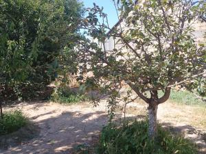 Бакы, участок земли , продажа , 20 сот , Сабунчу рајону