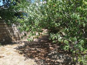 Бакы, участок земли , продажа , 20 сот , Сабунчу рајону